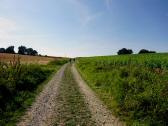  Blick auf die Wanderstrecke 